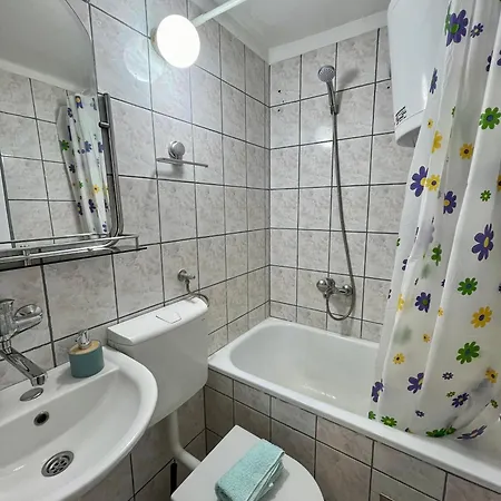 Dorcoleta Belgrade